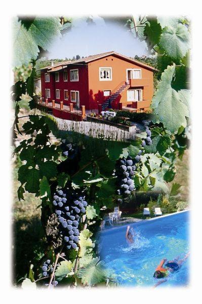 La Vignola *